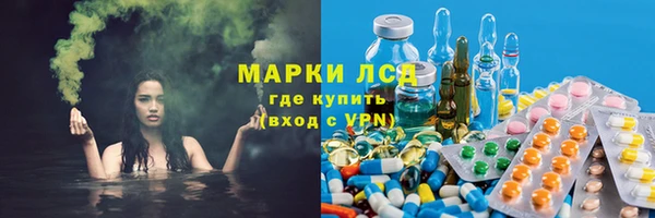 PSILOCYBIN Бугульма