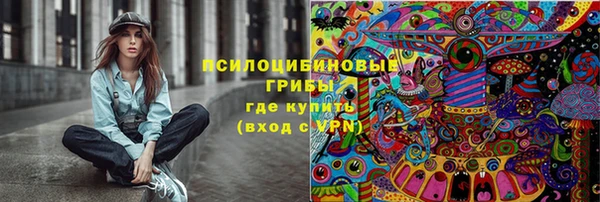 скорость Бородино