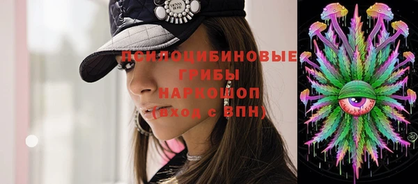 скорость Бородино