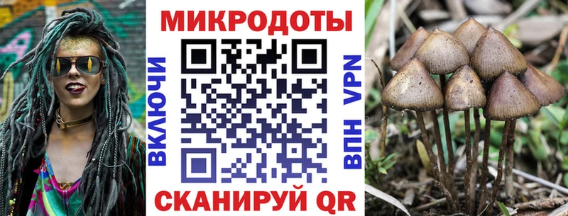 Галлюциногенные грибы Psilocybine cubensis  Игра 