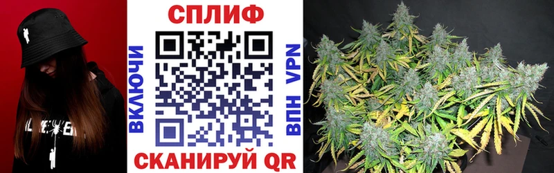 где продают наркотики  Игра  Каннабис OG Kush 